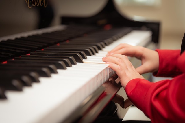 子どものピアノの習い事は何歳から始めるべきか 目的別に紹介 脳の発達 ピアニスト Flipper S