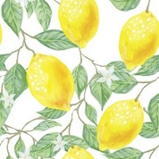 【ドラマ】米津玄師『Lemon』は大人気ドラマ「アンナチュラル」の主題歌だった！
