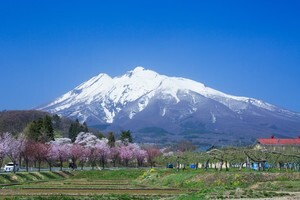 三味線を弾く の意味は 成り立ちもあわせてご紹介 Flipper S